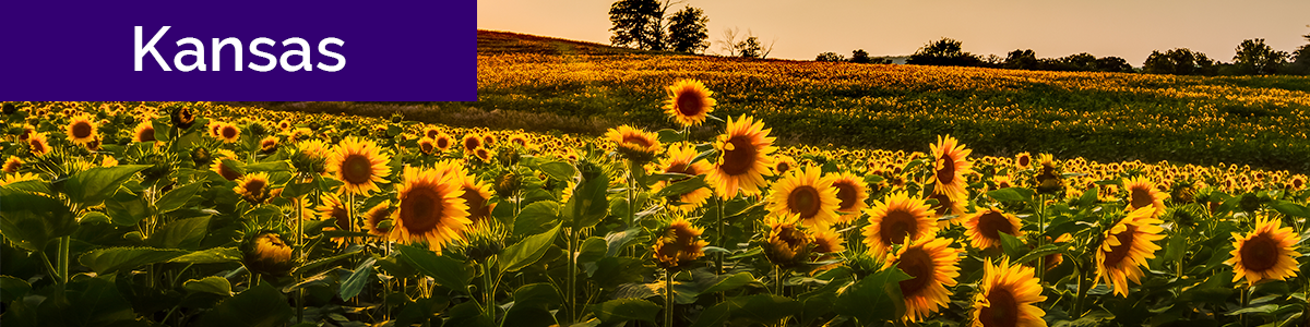 American Modern insurance introduces AMsuite - new quoting system and products in Kansas