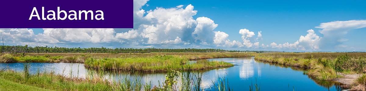 American Modern insurance introduces AMsuite - new quoting system and products in Alabama